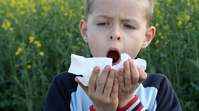 naitre grandir sante enfant allergie rhume foins